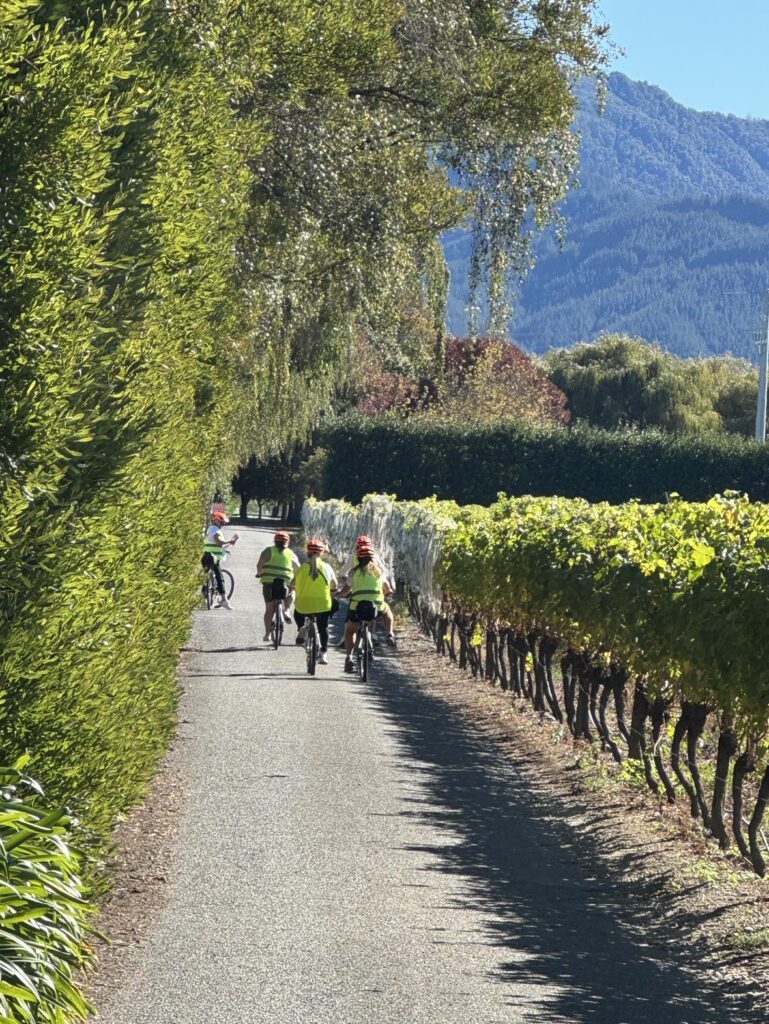 DDOG Vineyard