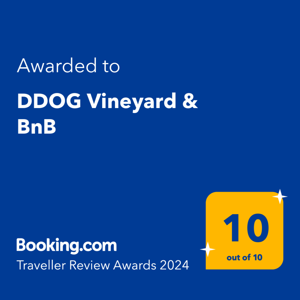 DDOG Vineyard